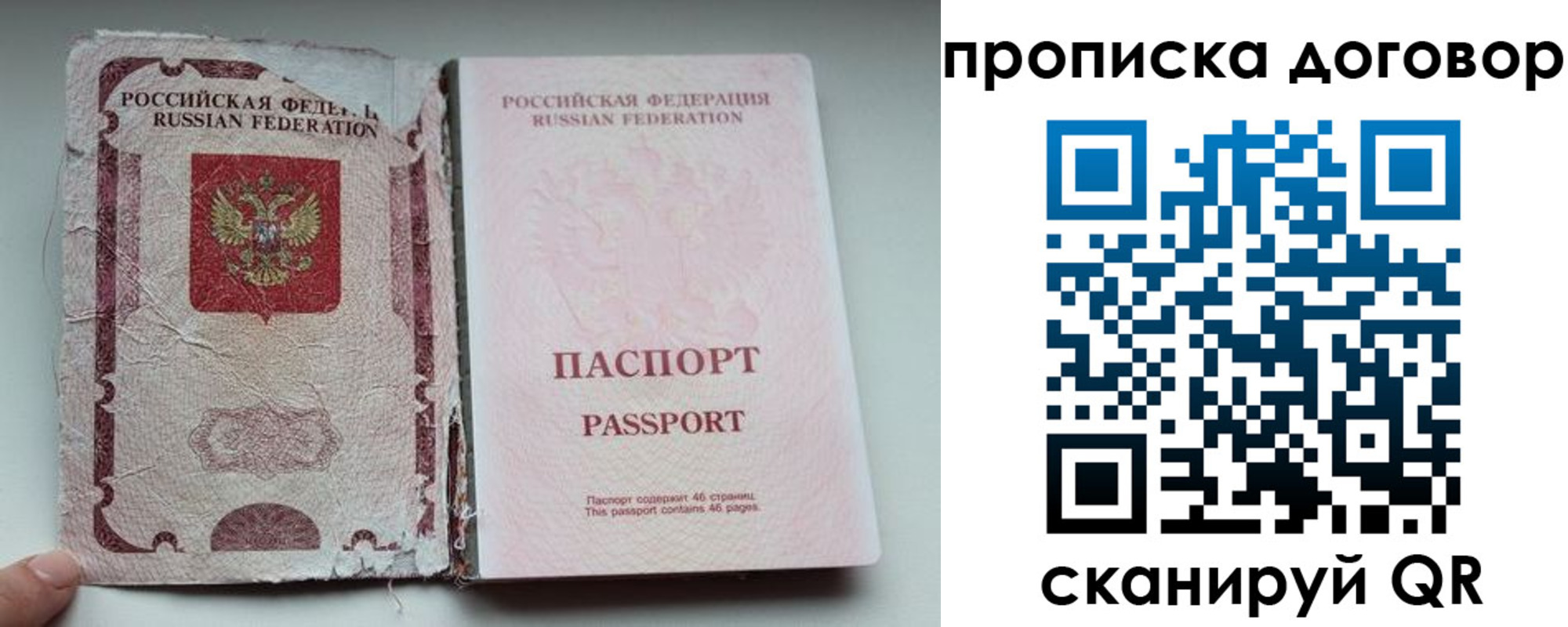 прописка поиск в Новосибирской области